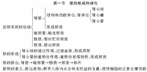 尿的形成过程说课稿（尿的形成教学设计）-图1