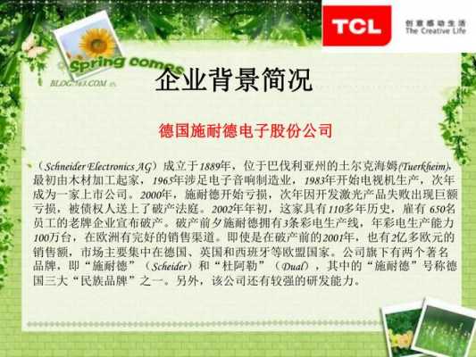 关于tcl收购施耐德过程的信息-图1