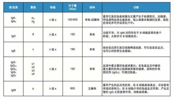 发育过程中抗体（个体发育中最早出现的抗体）-图1