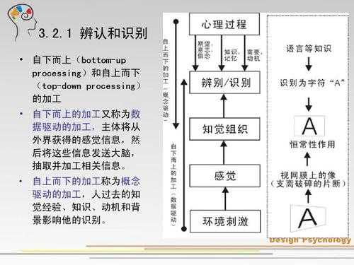 自下而上信息加工过程（自下而上的加工的概念）-图1