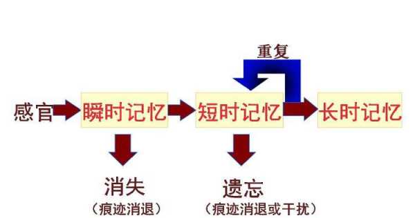 44过程记忆（记忆过程图）-图3