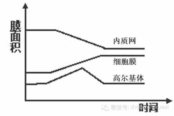 分泌蛋白在分泌过程中（分泌蛋白在分泌过程中的作用）-图2