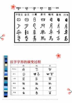 汉字经历了哪些过程（汉字经历了什么什么什么五个阶段）-图2