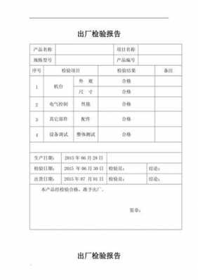 现场过程检验报告（现场检验报告怎么写）-图2