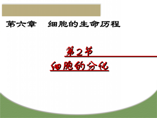 细胞分化教学过程（细胞分化公开课课件）-图3