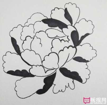 牡丹花的生长过程（牡丹花的生长过程简笔画）-图1