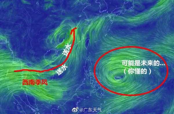 台风过程简讯（台风全过程）-图2