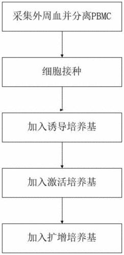 什么叫培养过程（培养过程范文）-图2