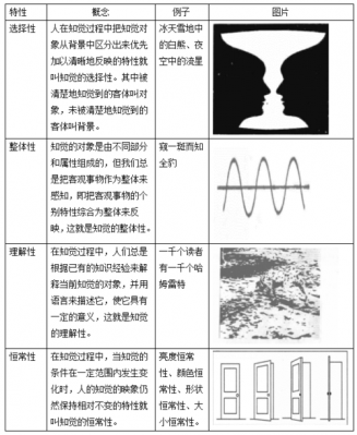 知觉过程的特点有（知觉过程的特性）-图2