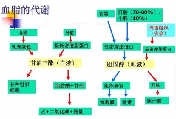 胆固醇合成过程包括（胆固醇的合成主要在什么和什么中进行）-图1