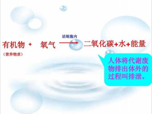 氧气的形成过程（氧气的形成过程用电子式表示）-图3