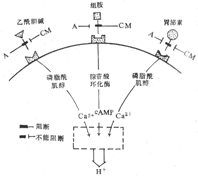 解释刺激过程（刺激的原理）-图3