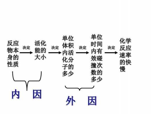 分解过程的特点（分解过程的特点和速率取决于哪些因素）-图2