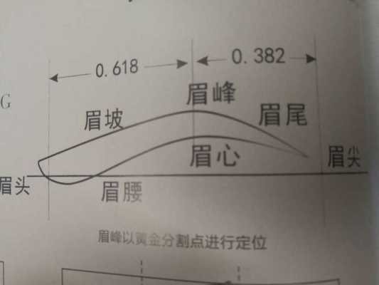 标准眉目知识过程图（标准眉的图片）-图1