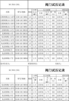 试压过程记录表（试压情况概述）-图3