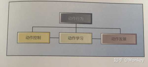 反应动作经理几个过程（全部动作反应法）-图2