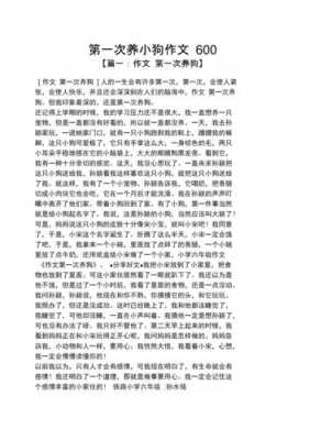 养狗的过程作文（养狗的过程作文300字）-图3