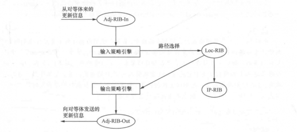 bgp的运行过程（bgp基本原理）-图1