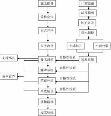 园林种植施工过程（园林树木种植的施工步骤）-图3