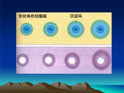 单向扩散过程视频（举例说明什么是单向扩散）-图1