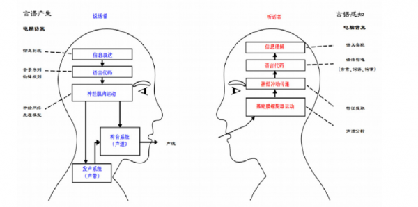 言语过程心理学（言语过程通常包括哪几个过程）-图2