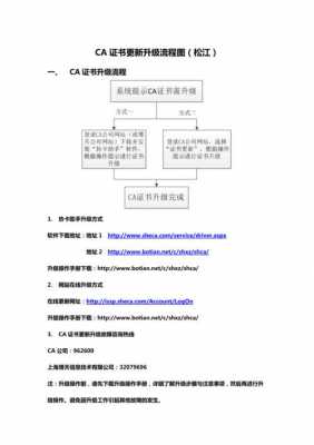 ca认证过程（ca认证的操作流程）-图2