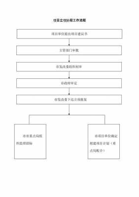 项目立项过程图表（项目的立项流程）-图1