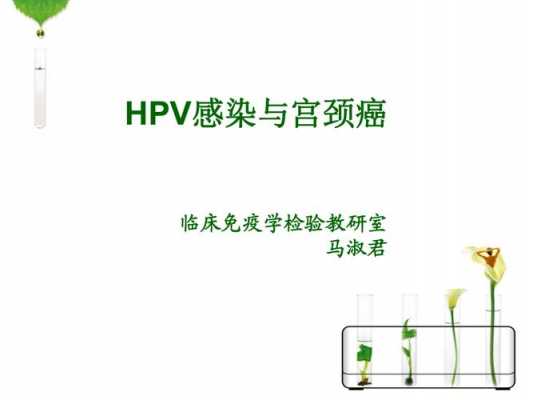 hpv感染的过程ppt（hpv ppt）-图1