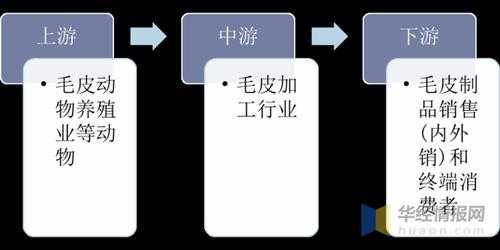 毛皮加工过程（毛皮的加工工艺主要包括哪些步骤）-图3