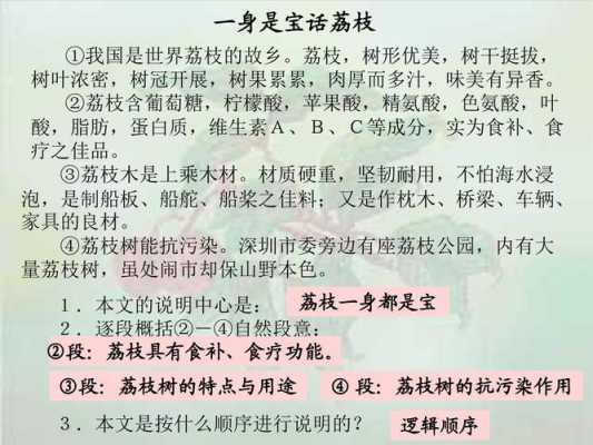 小学语文吃荔枝过程（以吃荔枝为题目,构思多个立意）-图3