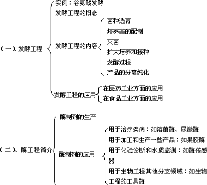 酶工程的基本过程（酶工程的基本过程包括）-图3