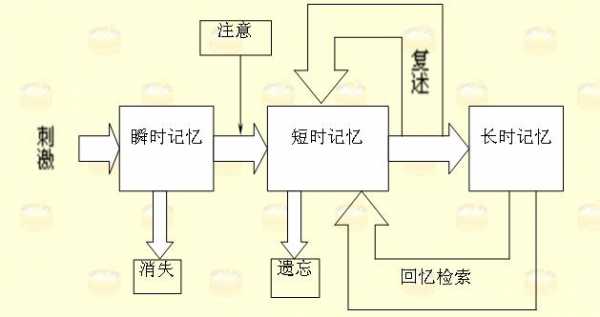 再现记忆过程（记忆的过程包括识记和再现三个环节）-图1