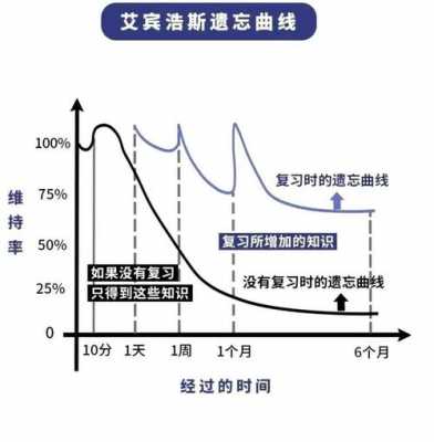 再现记忆过程（记忆的过程包括识记和再现三个环节）-图2