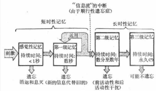 再现记忆过程（记忆的过程包括识记和再现三个环节）-图3