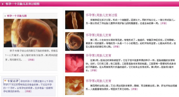 孕育小孩过程（孕育小孩的大致流程）-图2