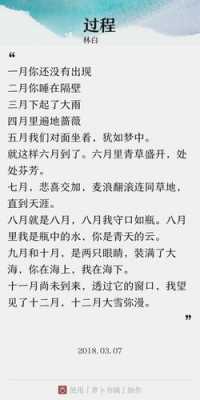 林白过程赏析（林白的主要作品）-图2