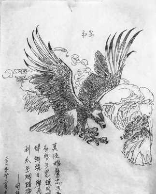 雄鹰画过程（雄鹰一步一步教着画）-图1