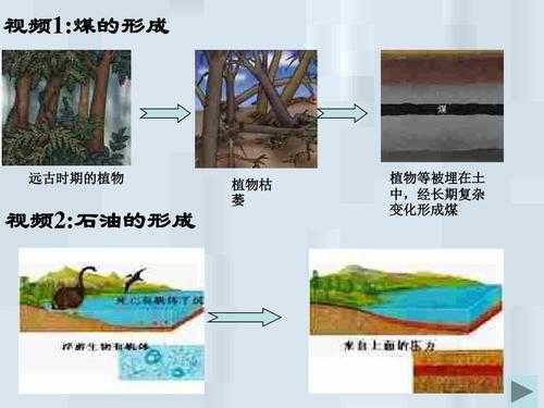 煤的行程过程（煤形成的过程）-图2