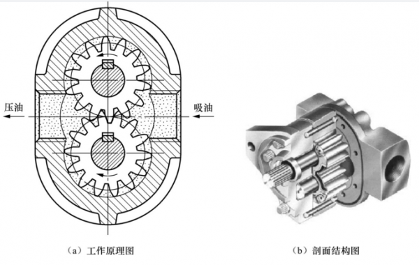 齿轮油泵工艺过程（齿轮油泵工作视频）-图3