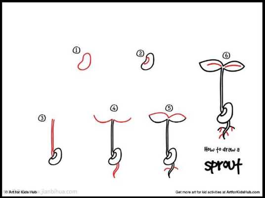黄豆发芽过程简画（黄豆发芽过程的简笔画）-图1