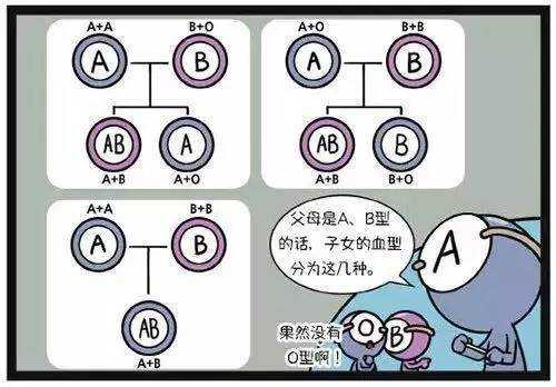 ABO全过程（aboqus）-图2