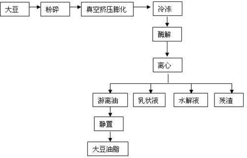 大豆提取油脂过程（大豆提取油脂初中化学）-图1