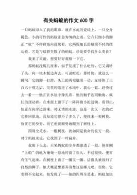 蚂蚁生长的过程（蚂蚁生长的过程作文）-图3