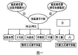 反馈调节的过程图（反馈调节的过程图示）-图2