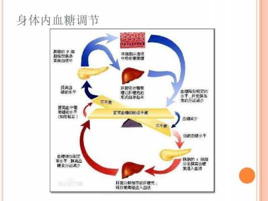 反馈调节的过程图（反馈调节的过程图示）-图3