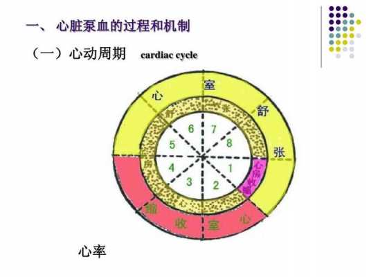 心脏心动周期过程视频（心动周期时间分配）-图1