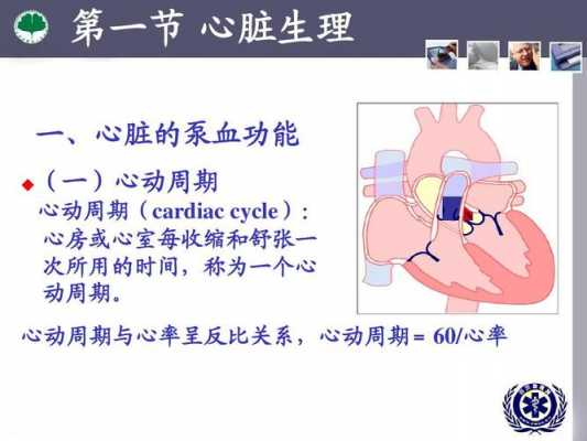 心脏心动周期过程视频（心动周期时间分配）-图3