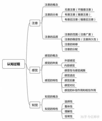 认知过程有几种（认知过程有几种类型）-图1