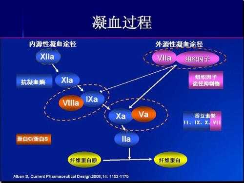 凝血过程停止（凝血过程停止的标志是）-图1