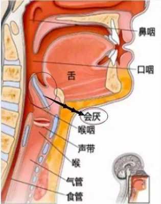 咽喉活动过程（咽喉活动过程中疼痛）-图1